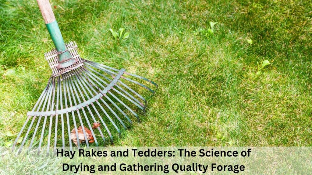 Hay Rakes and Tedders The Science of Drying and Gathering Quality Forage